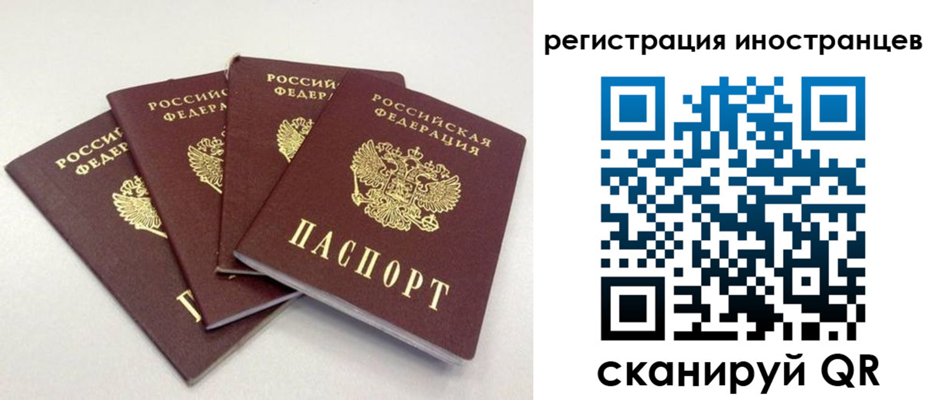 временная регистрация для школы в Видном